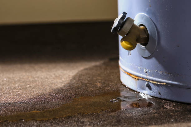 Best Water damage restoration mold remediation  in Kingston, NY