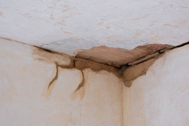 Best Mold removal after water damage  in Kingston, NY