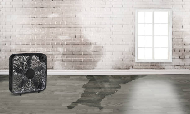 Best Emergency water damage restoration  in Kingston, NY