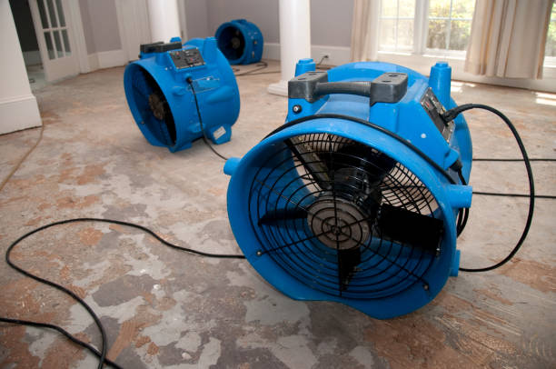 Best Mold removal after water damage  in Kingston, NY