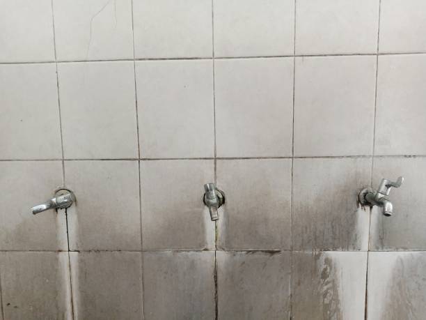 Best Professional water damage repair  in Kingston, NY