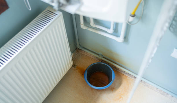 Best Mold removal after water damage  in Kingston, NY