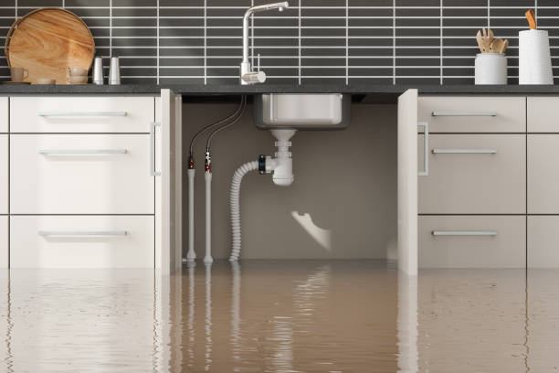 Best Water damage restoration near me  in Kingston, NY