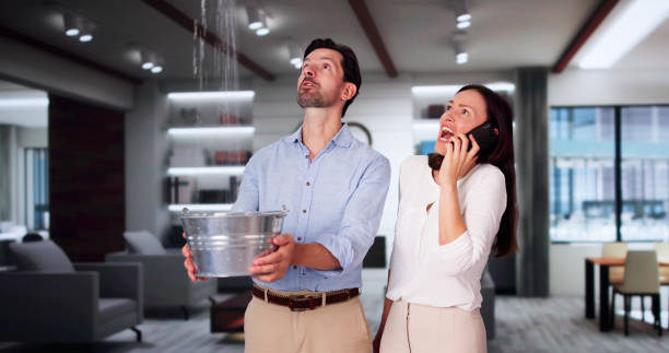 Best 24/7 water damage repair  in Kingston, NY