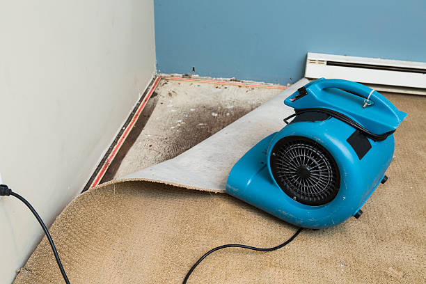 Best Flood restoration services  in Kingston, NY